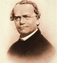 Mendel