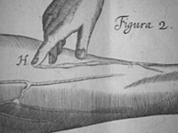 Vers la médecine moderne